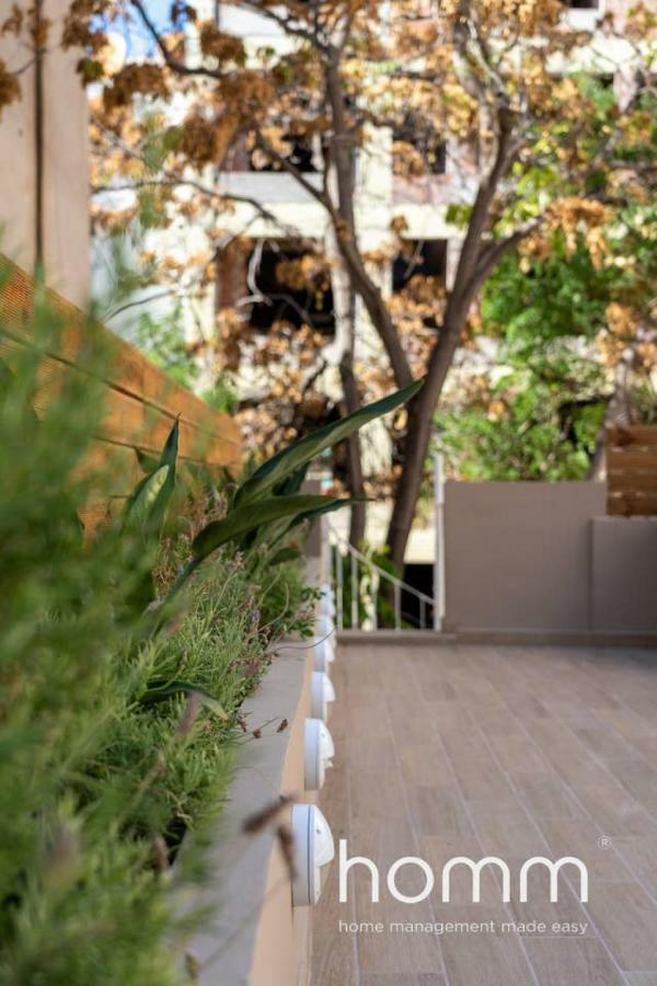 Nemeseos Ground Floor Homm Apartment With Roof Garden And Wading Pool Athen Eksteriør billede